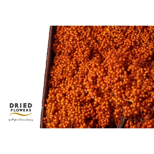 Dried Pepper Berries Tangarine