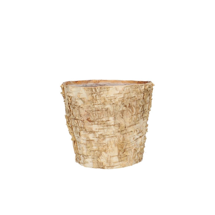 Wood birch pot d14 12 5cm