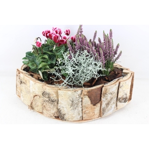 arr4 Outdoor PL - Hout kano XL