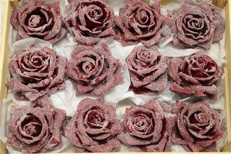 Wax Roos Icy Bordeaux