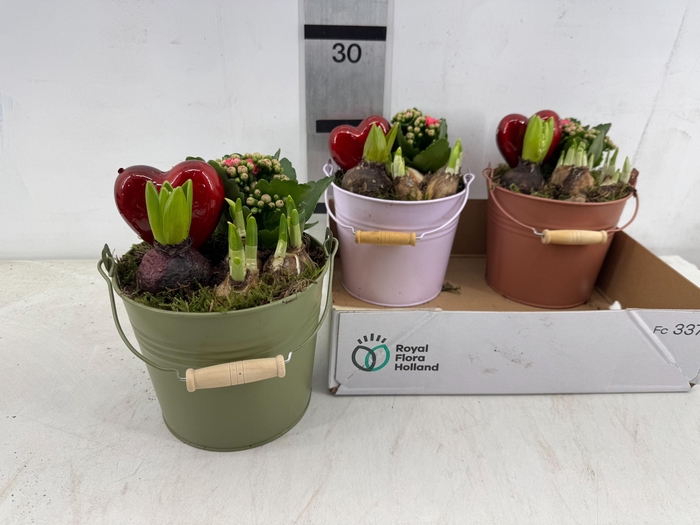 <h4>ARR PL IN SCHAAL</h4>