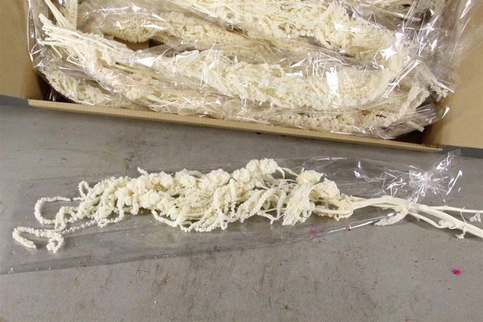 <h4>Dried Amaranthus Bleached</h4>