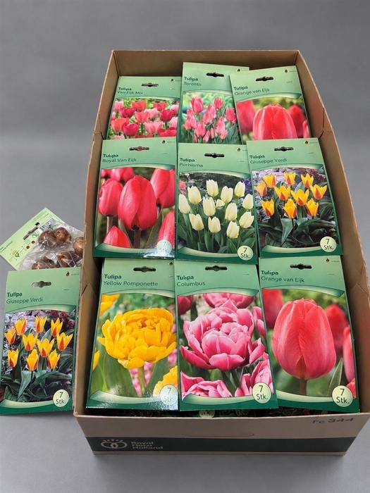 <h4>Bloembol Tulipa Mixbox</h4>