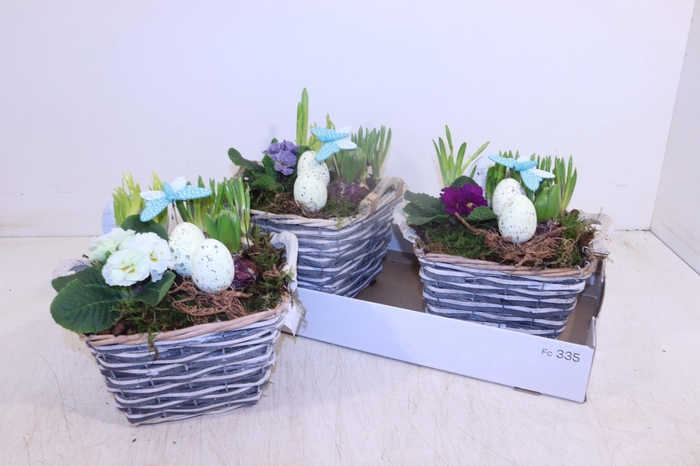 <h4>ARR TUINPLANTEN</h4>