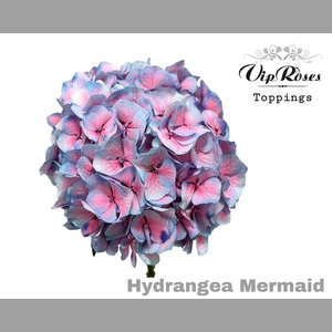 HYDR M MERMAID 60 CM