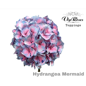 HYDR M MERMAID 60 CM