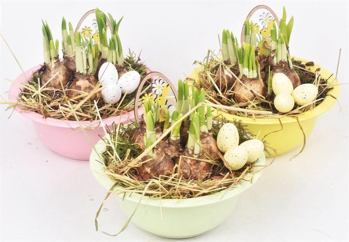 <h4>Zink schaal 19.5 cm mix 3 kleuren</h4>