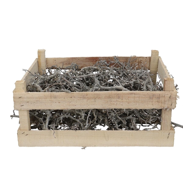 <h4>Droogdeco Bonsaihout/kist 60*40cm</h4>