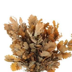 DROOGBL BEWERKT H%