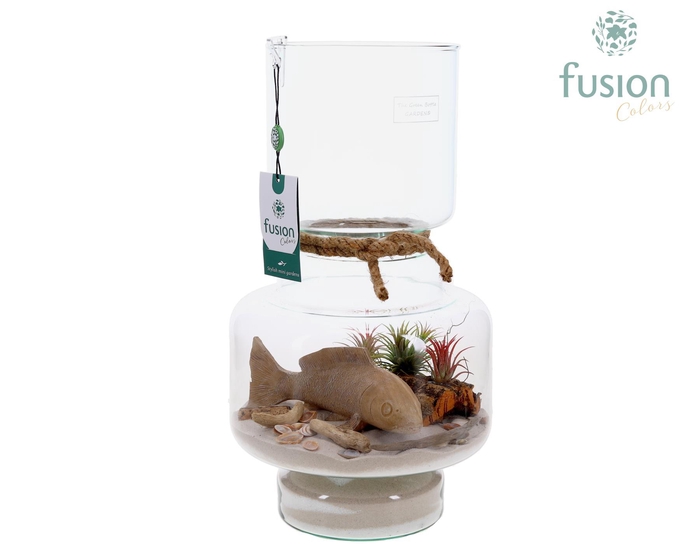 <h4>Green Bottle Lotte Large met Maritiem arrangement</h4>