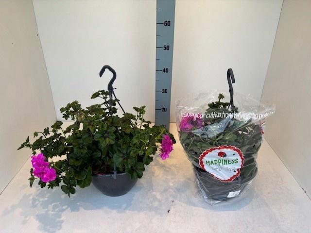 <h4>PEL PELT DECORA GEM</h4>