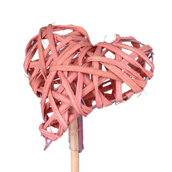 <h4>Bijsteker hart woody 7.5x7.5cm+50cm stok roze</h4>