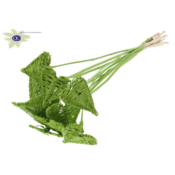 <h4>Lata Heart 8cm on stem Hat type Covered Light Green</h4>