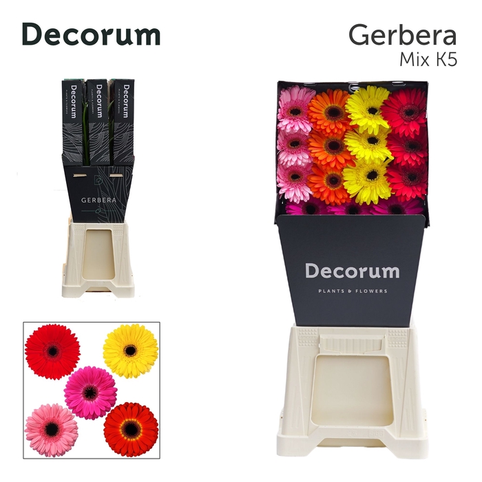 <h4>Gerbera Mix 5 kleuren Diamond per kaart</h4>