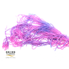 Dried Bleached Amaranthus Caudatus Neon