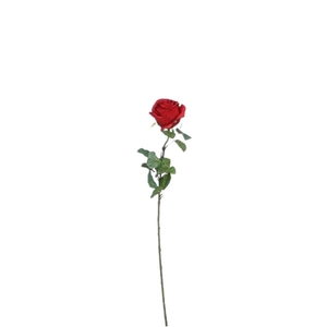 Rosa 69cm
