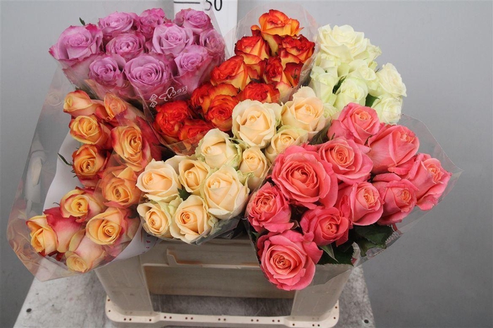 <h4>R Gr Gemengd In Fust B1</h4>