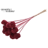 Atta Fruit on stem Intense Burgundy