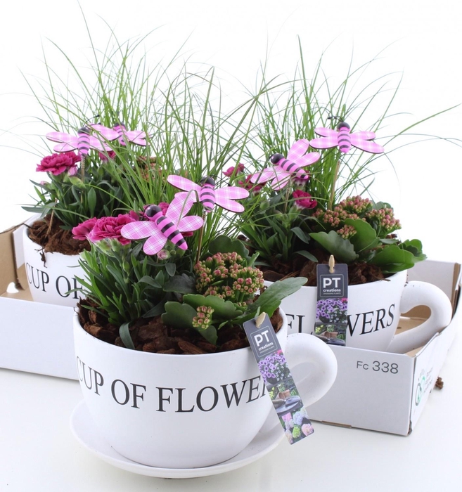 <h4>ARR TUINPLANTEN</h4>