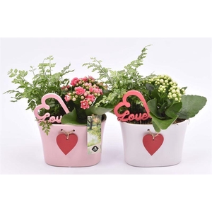 Keramiek ovaal met hart 15x9cm