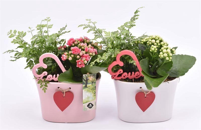 <h4>Keramiek ovaal met hart 15x9cm</h4>