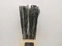 <h4>Feathers peacock</h4>