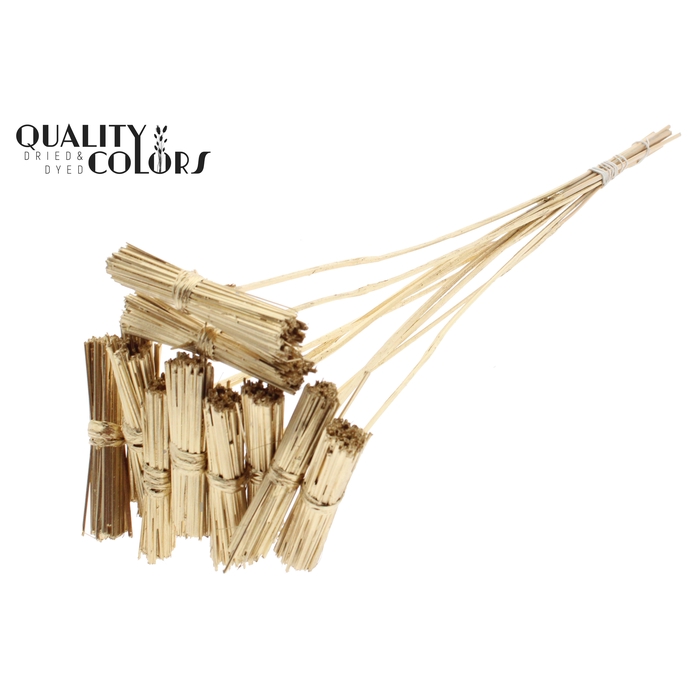 <h4>Kore Posy on stem Antique Gold</h4>