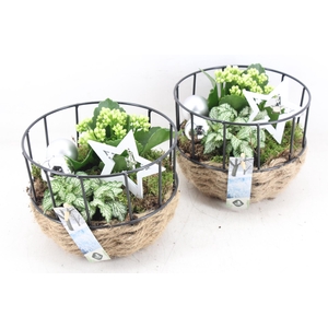 arr2 JS - Gaasmand frame  338/4