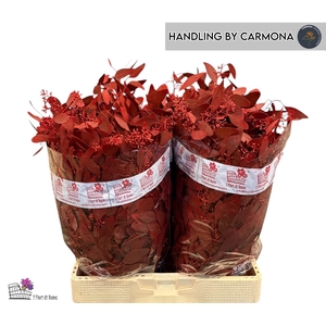 EUC PO FRU KLB BS H%