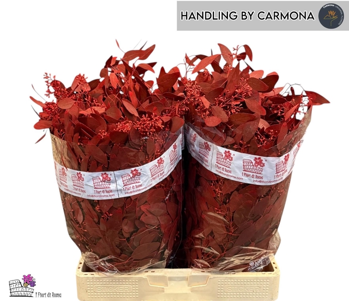 <h4>EUC PO FRU KLB BS H%</h4>