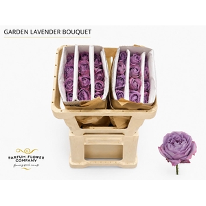 Rosa Garden Lavender Bouquet