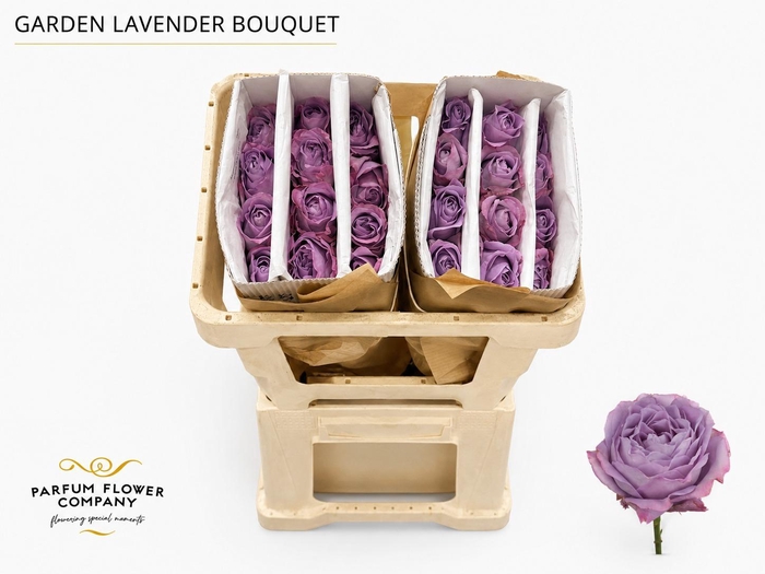 <h4>Rosa Garden Lavender Bouquet</h4>