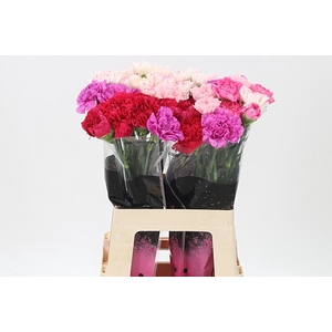 Di St Mix Pink