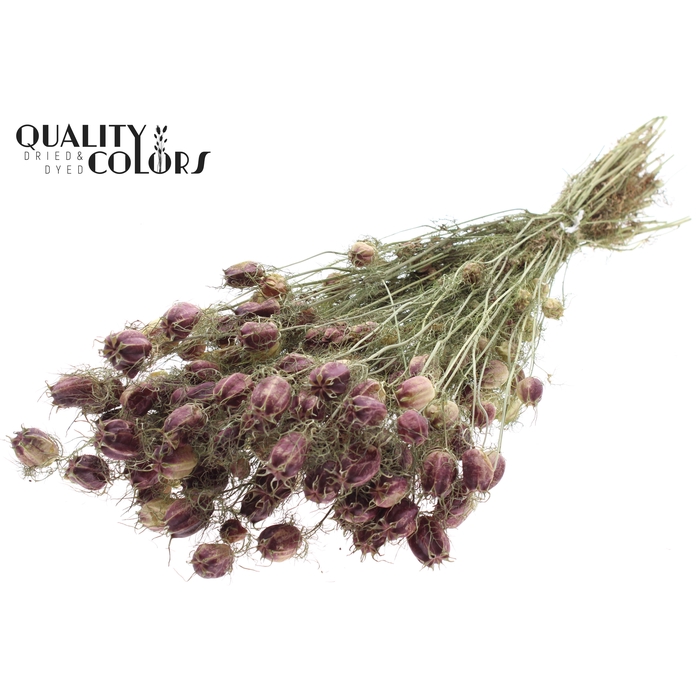 <h4>Nigella per bunch Natural</h4>