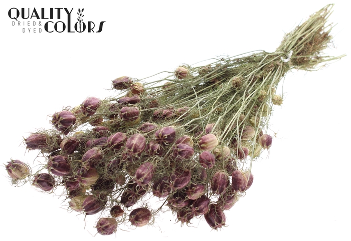 <h4>Nigella per bunch Natural</h4>