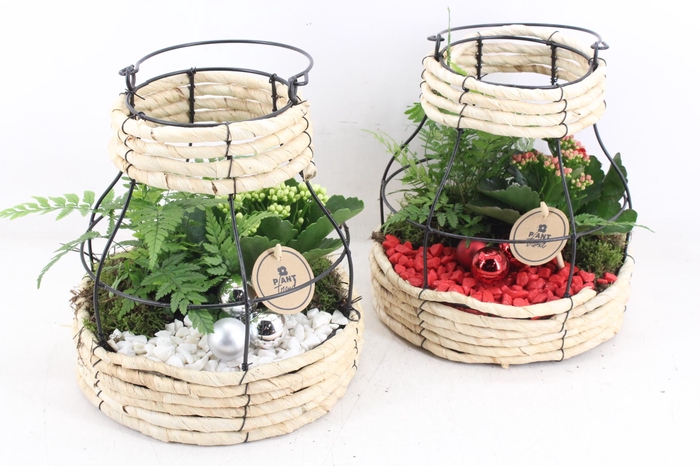 <h4>arr2 PL - Riet metaal lantaarn - rood/wit</h4>