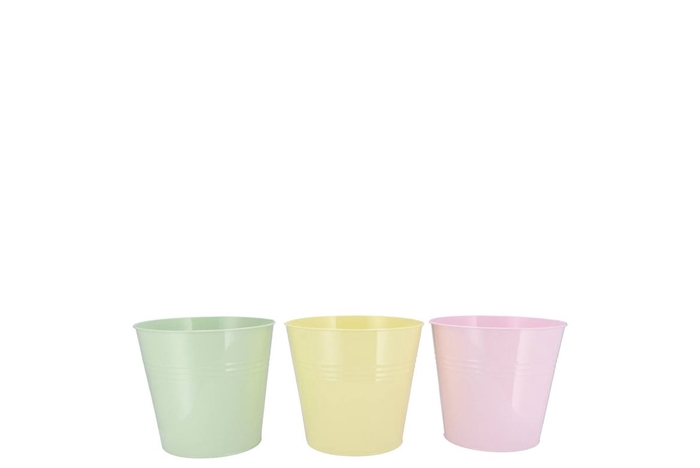 <h4>Zinc Dreamy Pastel Mix Bucket Basic Ass 13x12x9cm</h4>