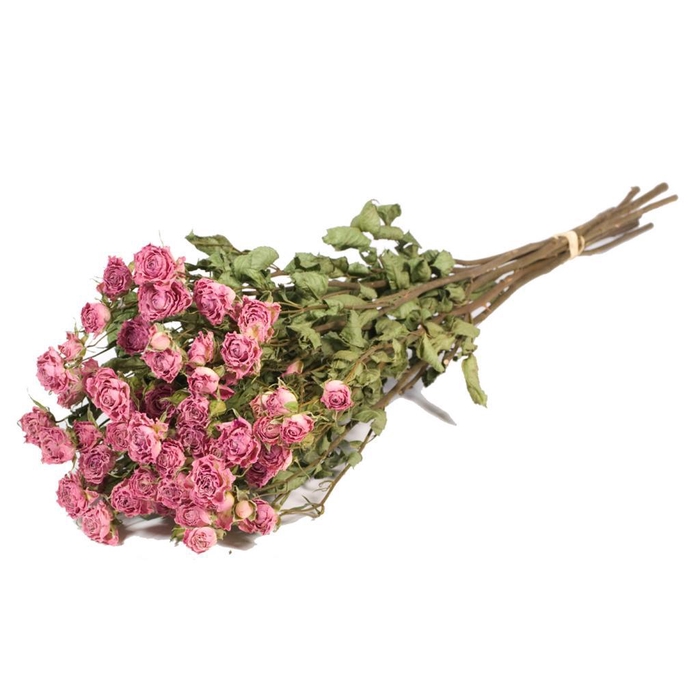 <h4>Roses Spray Natural Light Pink</h4>