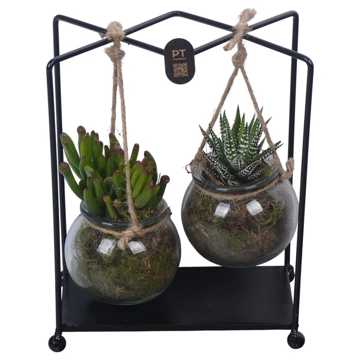 <h4>Arr.   Planten L%</h4>