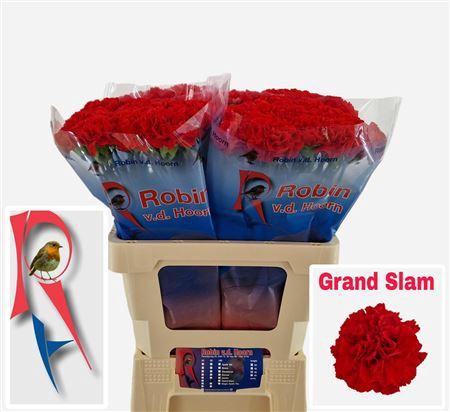 <h4>Di St Grand Slam</h4>