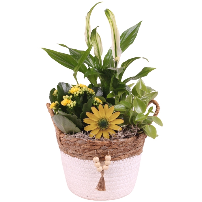 <h4>Opm Summer Arr. Indoor Willow Basket Round Beads</h4>