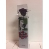 Roos op steel mini 27,5cm Purple