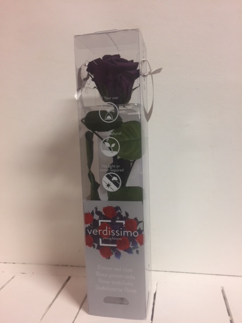Roos op steel mini 27,5cm Purple