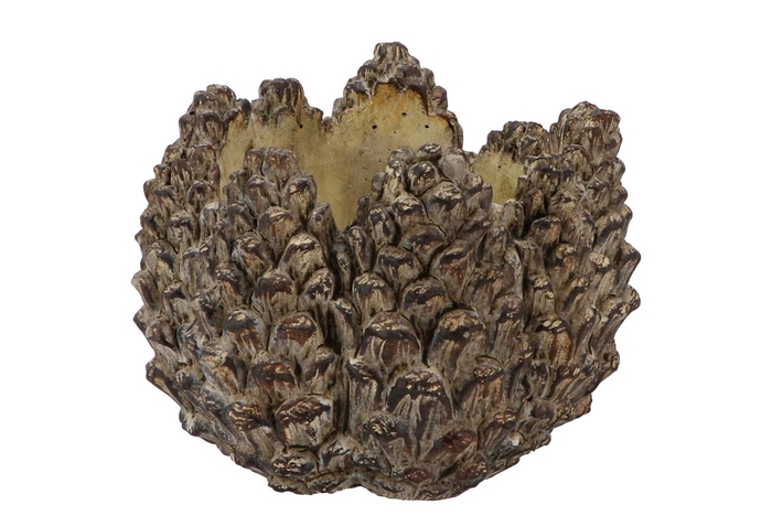 <h4>Concrete Natural Pinecone Pot Round Edge 19x19x13cm Nm</h4>