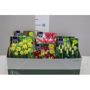 Droge Bloembol Mix 6 Soorten