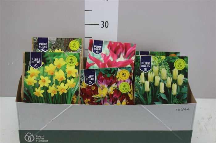 <h4>Droge Bloembol Mix 6 Soorten</h4>