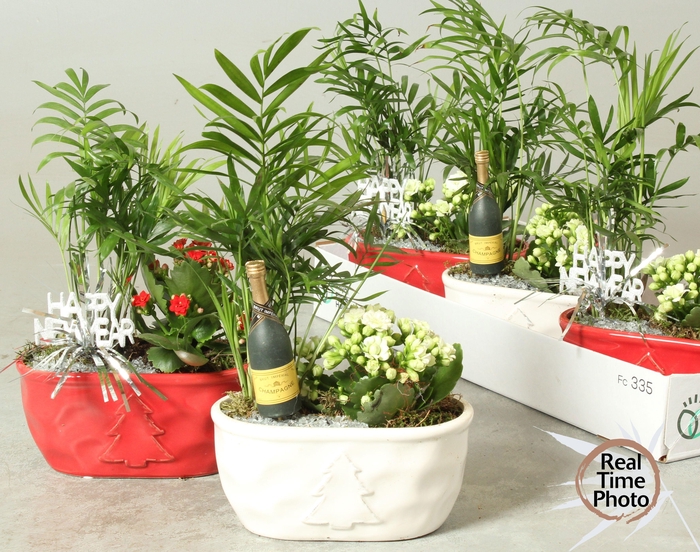 <h4>ARR KAMERPL</h4>