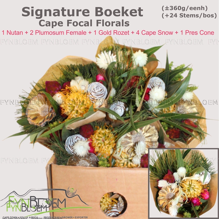 <h4>PROTEA PER BOS</h4>