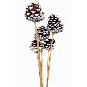DECO PINECONE O/ST WHITE X5 BUNCH S