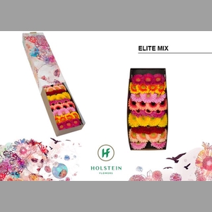 GE MI ELITE MIX GEM